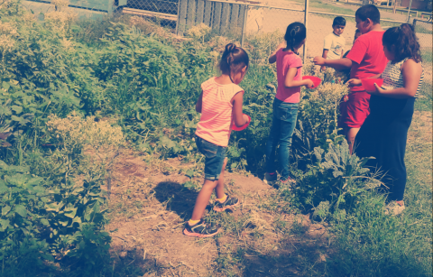 Las Cruces Children Participating In The Weed N' Seeds Program